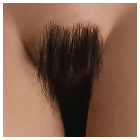 Pubic Hair [+$30.00]
